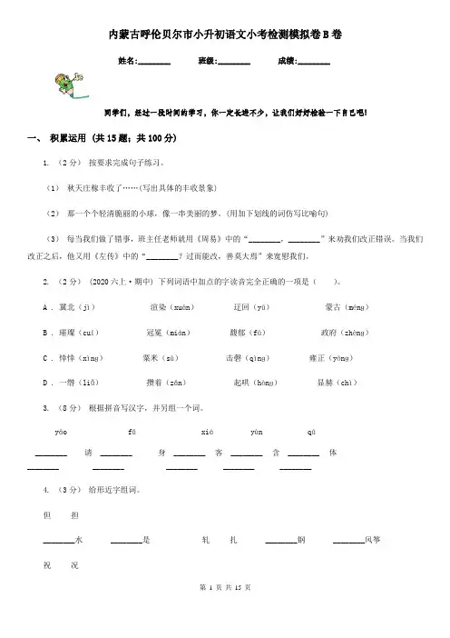 内蒙古呼伦贝尔市小升初语文小考检测模拟卷B卷