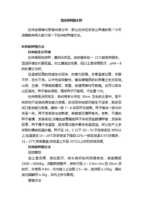 如何种植杜仲