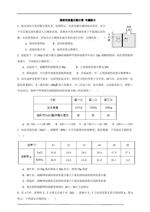 溶质的质量分数计算专项训练