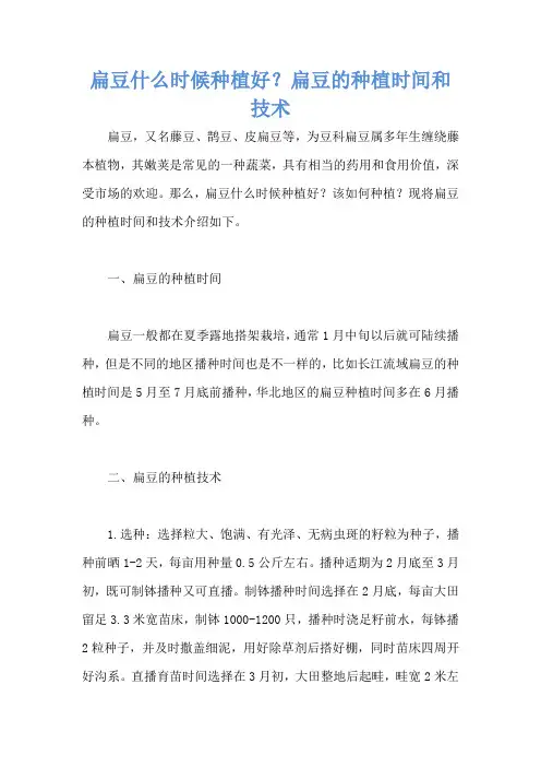 扁豆什么时候种植好？扁豆的种植时间和技术