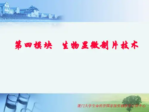 石蜡切片法