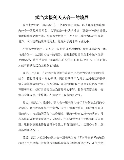 武当太极剑天人合一的境界
