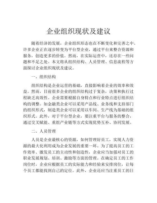 企业组织现状及建议