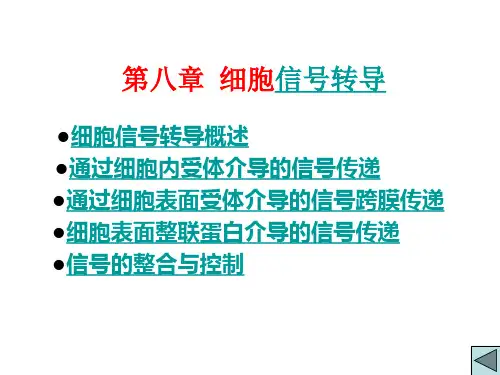 《细胞生物学》教学课件：08 细胞信号转导
