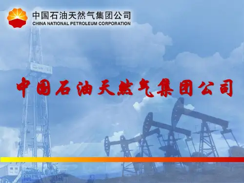 中国石油天然气集团资料