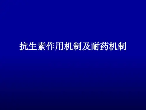 抗生素作用机制及耐药机制