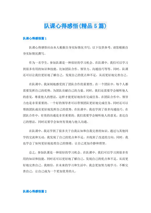 队课心得感悟(精品5篇)