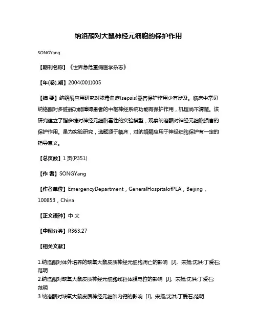 纳洛酮对大鼠神经元细胞的保护作用