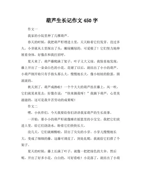 葫芦生长记作文450字