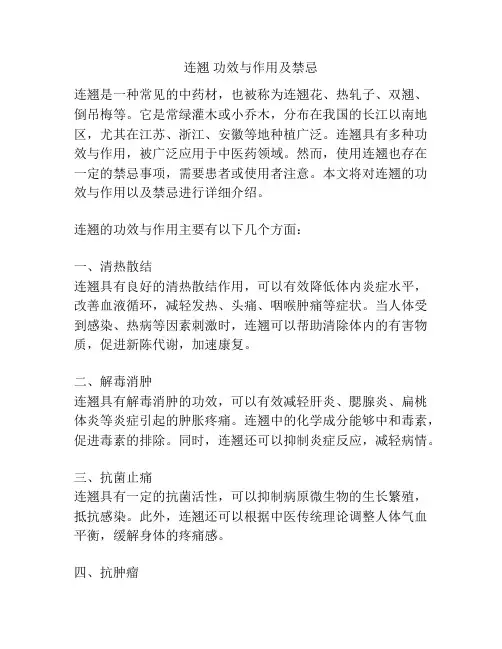连翘 功效与作用及禁忌