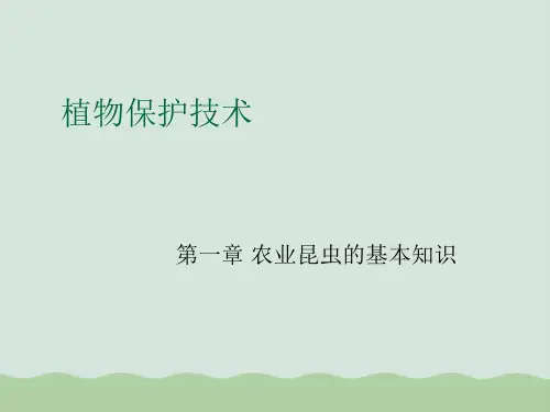 农业昆虫的基本知识之昆虫与环境的关系PPT(共30页)