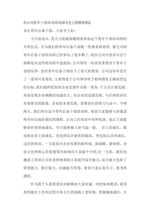 在公司青年干部培训班培训大会上的领导讲话