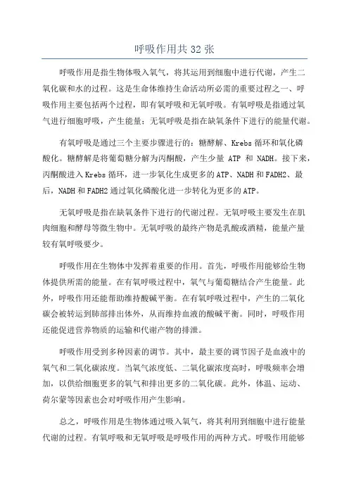 呼吸作用共32张