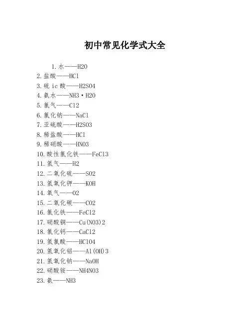 初中常见化学式大全