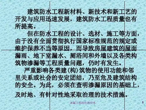 渗漏工程的治理技术课件