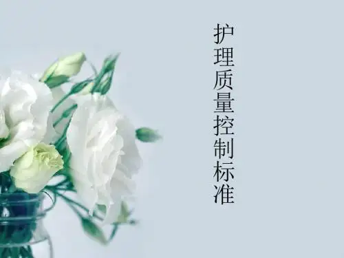 护理质量控制标准 PPT课件