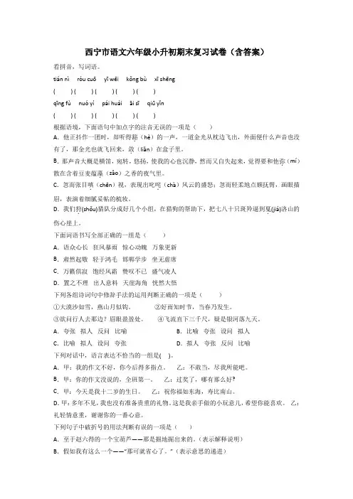 西宁市语文六年级小升初期末复习试卷(含答案)