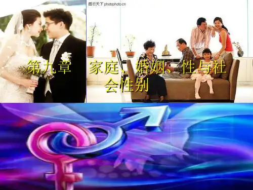 第九章 家庭、婚姻、性与