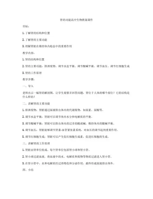 肾的功能高中生物教案课件