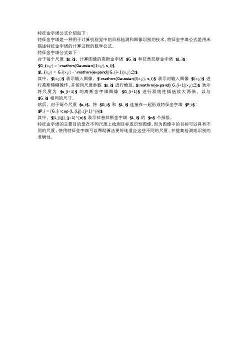特征金字塔公式