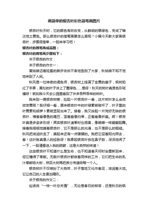 画简单的银杏叶彩色简笔画图片