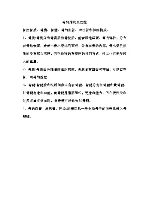 骨的结构及功能