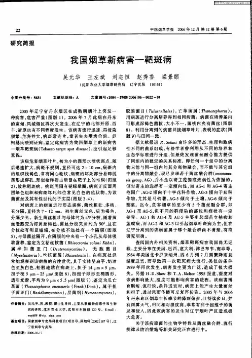我国烟草新病害-靶斑病