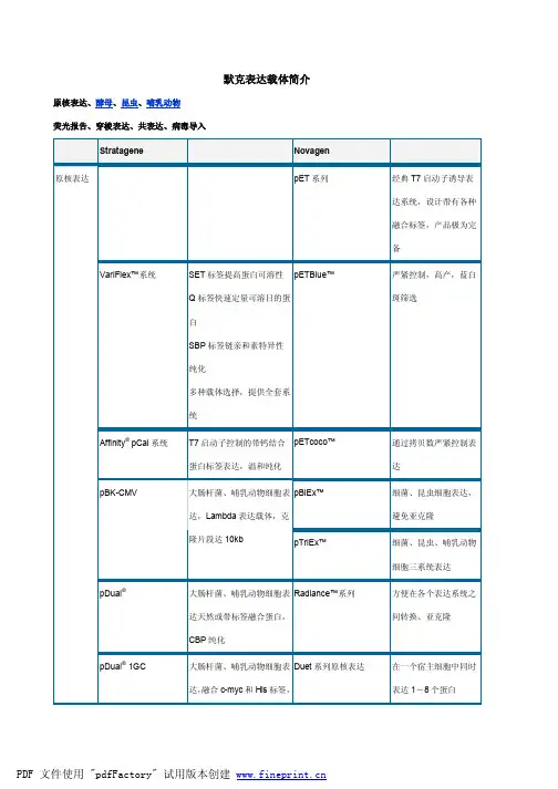 默克表达载体简介