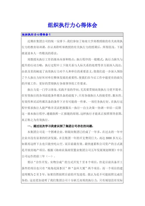 组织执行力心得体会