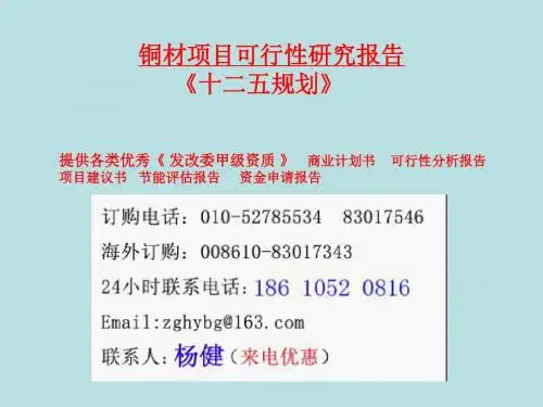 [调研报告]铜材可行性研究报告