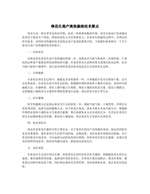 春花生高产高效栽培技术要点