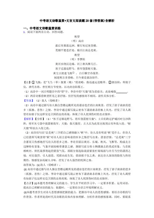 中考语文诗歌鉴赏+文言文阅读题20套(带答案)含解析