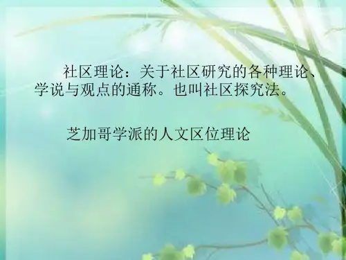 社区理论研究