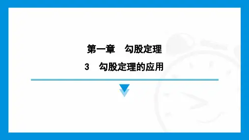 3 勾股定理的应用