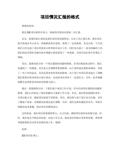 项目情况汇报的格式