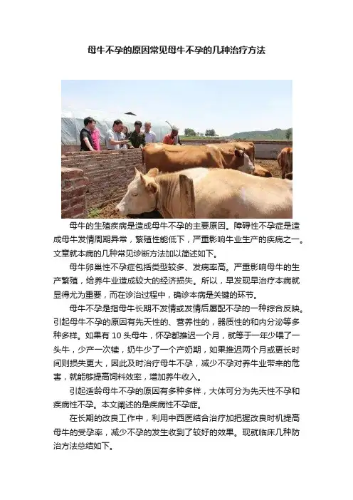 母牛不孕的原因常见母牛不孕的几种治疗方法