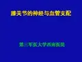 最新膝关节的神经与血管支配-药学医学精品资料