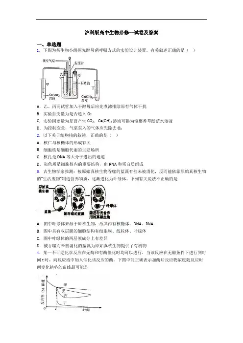 沪科版高中生物必修一试卷及答案
