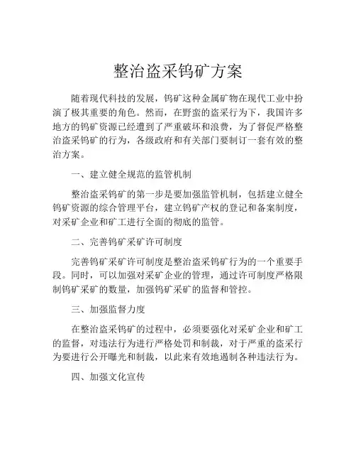 整治盗采钨矿方案