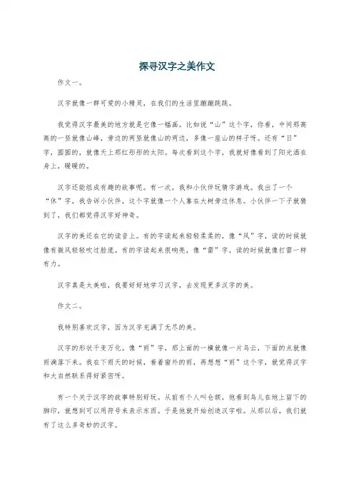 探寻汉字之美作文