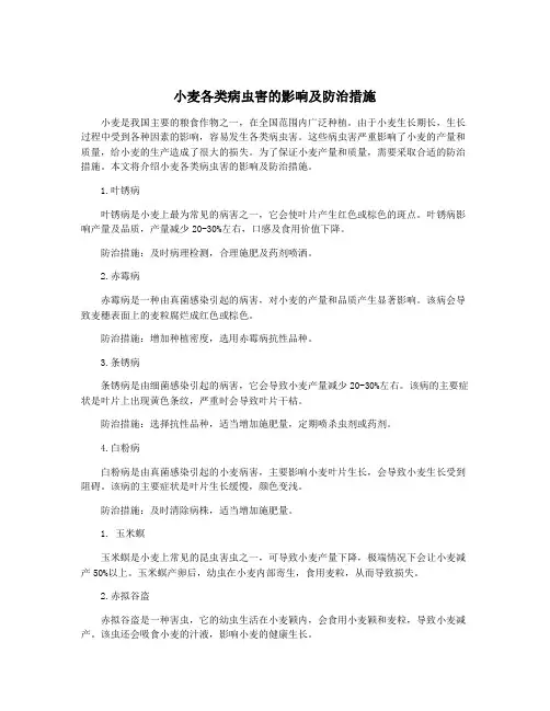 小麦各类病虫害的影响及防治措施