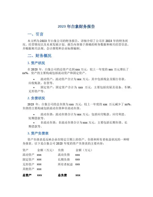 2023年白象财务报告