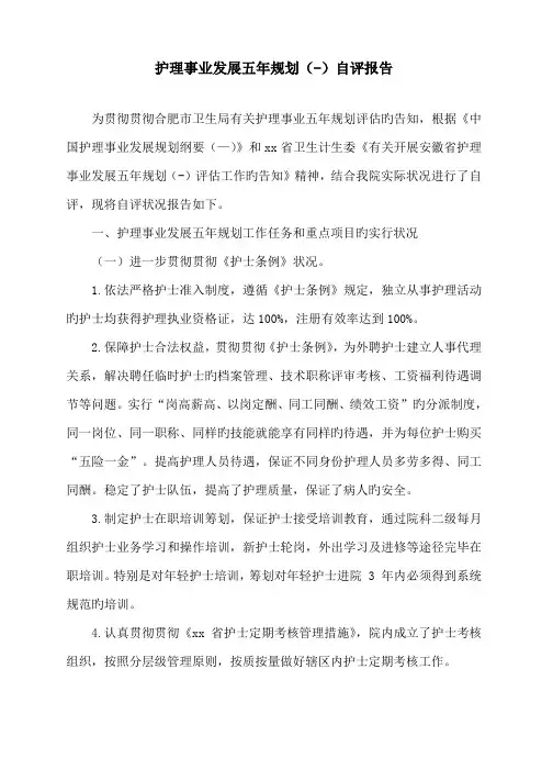 护理事业五年重点规划自评经典报告