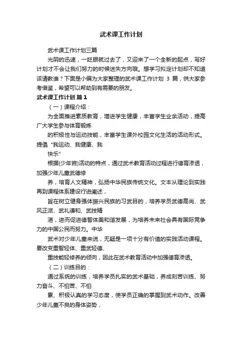 武术课工作计划