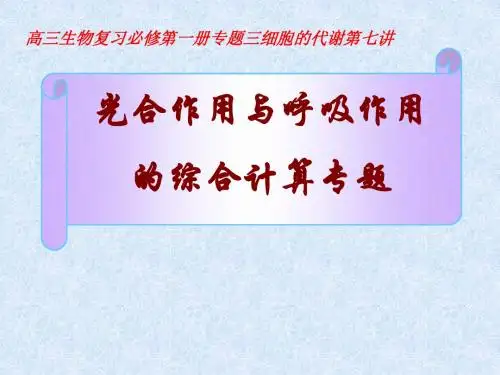 光合作用和呼吸作用的综合计算专题