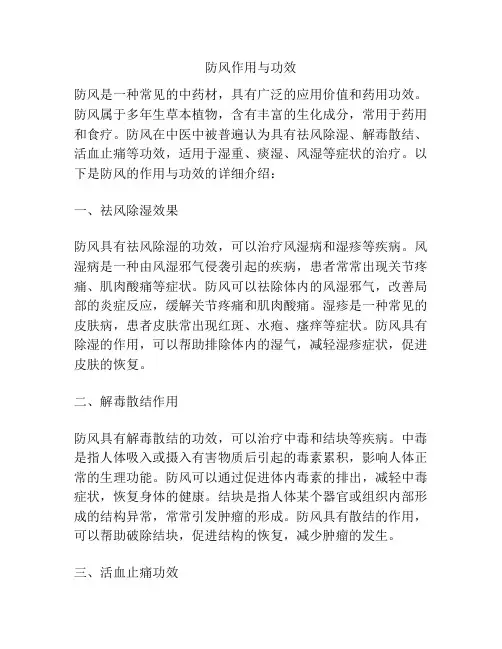 防风作用与功效