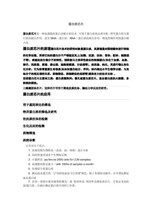 蛋白质芯片