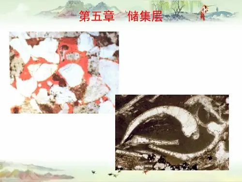石油地质学3. 储集层
