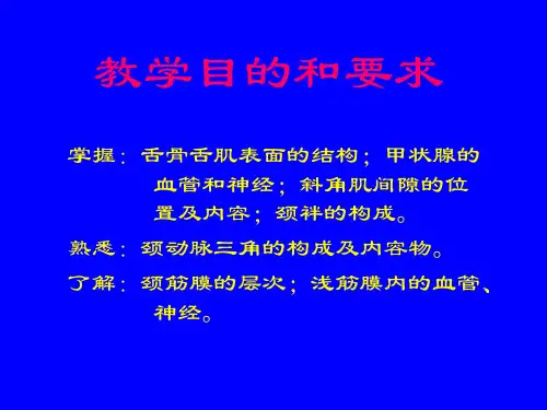 局部解剖学-颈部ppt课件