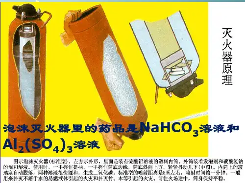 苏教化学选修 化学反应原理专题3 第三单元盐 类 的 水 解_3